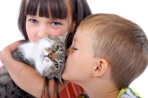Дети и кошка.jpg
