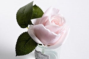 96CN-R46 Диффуз.Rose Bud French Pink,спрей White Gardenia 5мл уп