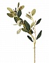 9F28558-GR Веточка эвкалипта с цветами листья зеленые 72см(24)