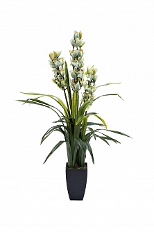 29BJ-911-33 Орхидея CYMBIDIUM искусств. лаймовая в горшке h110 см