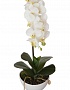 29BJ-170-06 Орхидея белая в горшке h46см